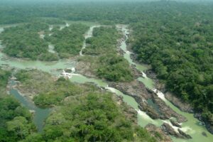 STF aprova lei que libera área do Parque Nacional do Jamanxim para Ferrogrão