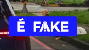 Vídeo de gatinho ‘traído’ é falso e foi criado com inteligência artificial