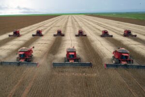 Agronegócio enfrenta dívidas e falta de infraestrutura; setor cobra ação do próximo presidente